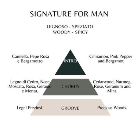 Replay Signature For Man Eau De Toilette Intense and Warm Men's Fragrance