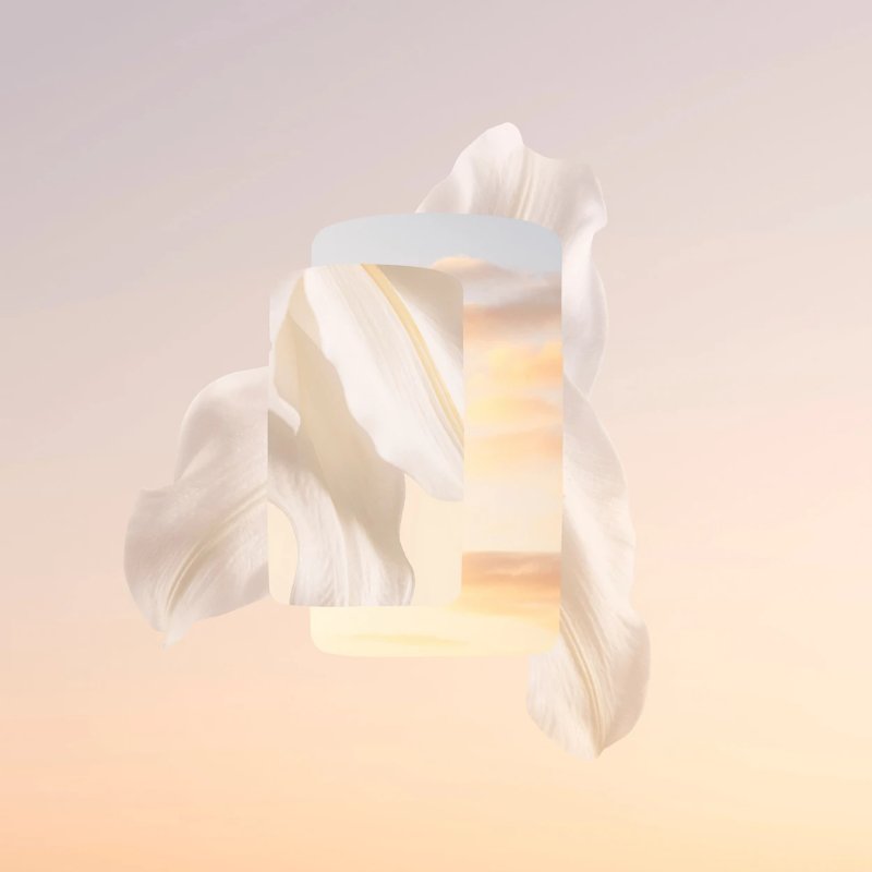 Cartier Baiser Volé 100 ml Femmes