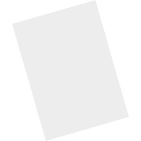 Zebra MISC-MC93-SCRN-01 handheld mobile computer accessory Screen protector