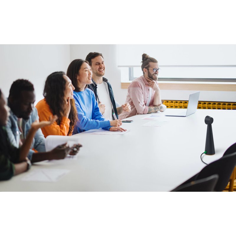 IPEVO TOTEM 180 Panoramic Conference Camera