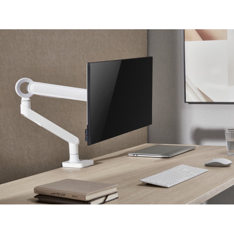 Equip 17"-35" Premium Monitor Desk Mount Bracket, White