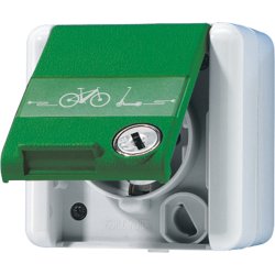 Jung 820GNNAWSLEB SCHUKO Steckd.m.Klappd. u.Sicherh.E-Bike