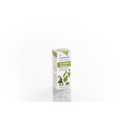 Esential A Aceite Esencial Eucalipto Globulo Bio 10Ml