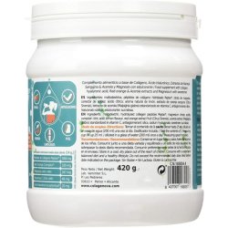 Vaminter Colagenova Antiox Lemon Drink 420g