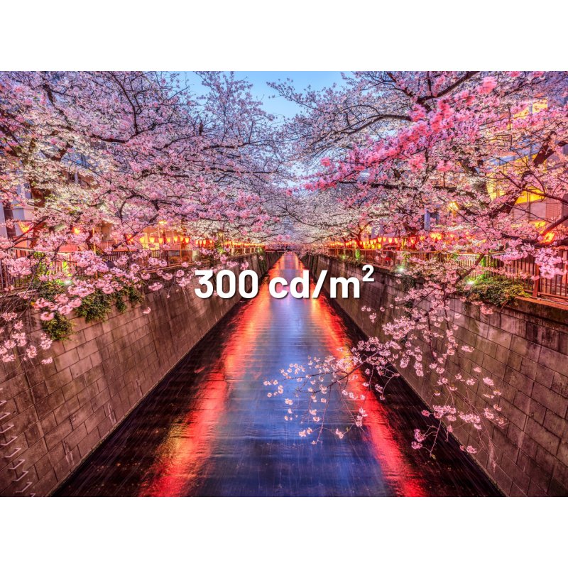 JapanNext FHD Gaming Monitor 60,45cm (23,8")