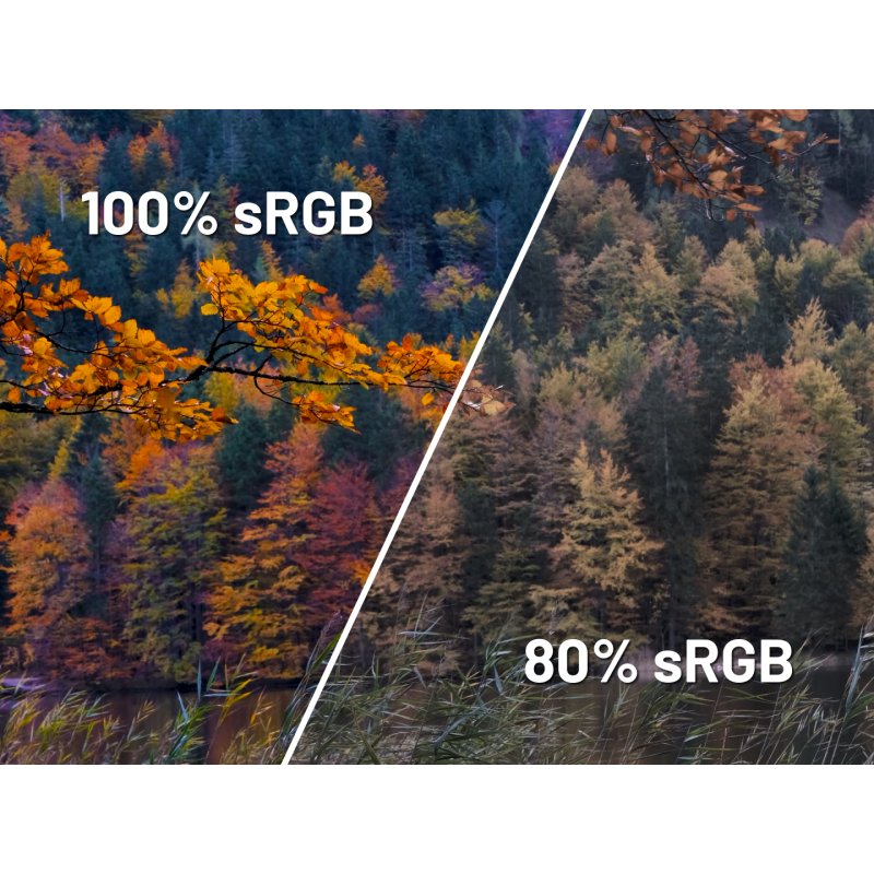 JapanNext FHD Gaming Monitor 60,45cm (23,8")