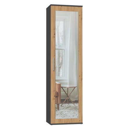 Topeshop DUO SZAFA ANT/ART KP bedroom wardrobe/closet 2 shelves 1 door(s)
