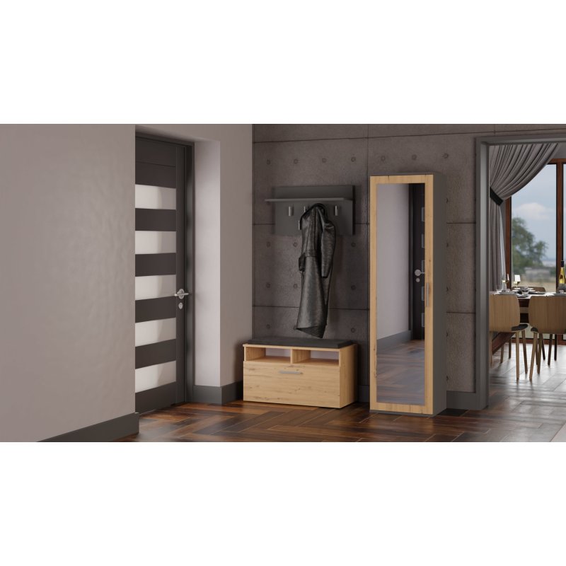 Topeshop DUO SZAFA ANT/ART KP placard et armoire de chambre à coucher 2 étagères 1 portes(s)