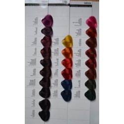 ALLWAVES Professionnelle Cream Color F888 Flash Fuchsia Hair Color 100ml