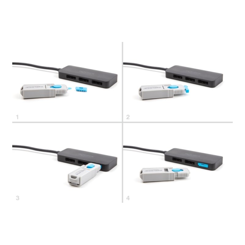 DeLOCK Set de bloqueur de port DisplayPort pour port DisplayPort femelle, 4 unités outil de verrouillage