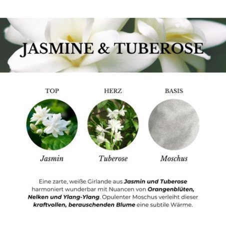 Ashleigh & Burwood Jasmine & Tuberose Lamp Fragrance 250ml