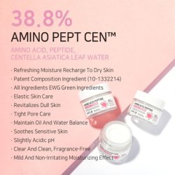 Aplb Amino Acid Peptide Facial Cream 388 Fl Oz