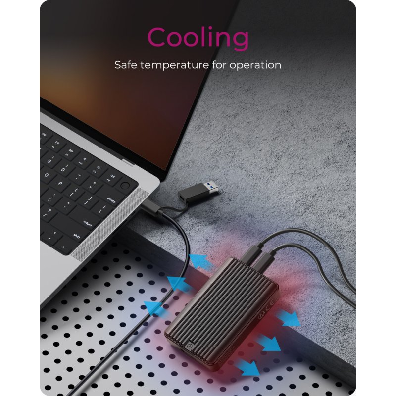 ICY BOX IB-CR601M-C31 Enceinte ssd Noir M.2