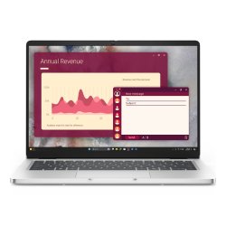 Dell Pro 14 PC14250 CU7 255U/16GB/512SSD/W11 Pro 1Y Basic Onsite