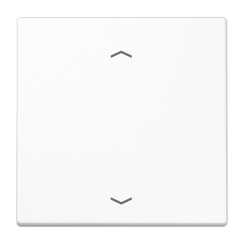 Jung LS101PWW Wippe f.Tasterpfeile