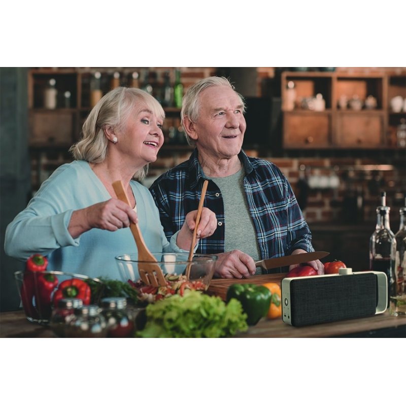 FALLER OSKAR Mono portable speaker Black, Silver 4 W