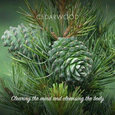 Friendly Soap Handmade Natural Cedarwood Soap 95g