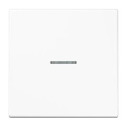 JUNG BTLS17101WW interrupteur d'éclairage Duroplast Blanc