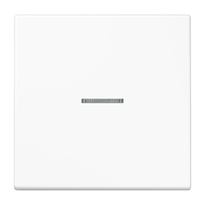 JUNG BTLS17101WW light switch Duroplast White