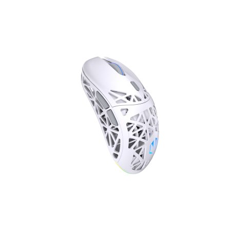 Endorfy LIV Plus Wireless OWH