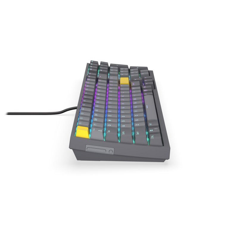 Celeris 1800 (grau, DE-Layout, ENDORFY Yellow by Gateron)