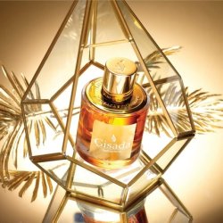 Gisada Ambassadora Shower Gel 100ml for Women - Fine and Refreshing