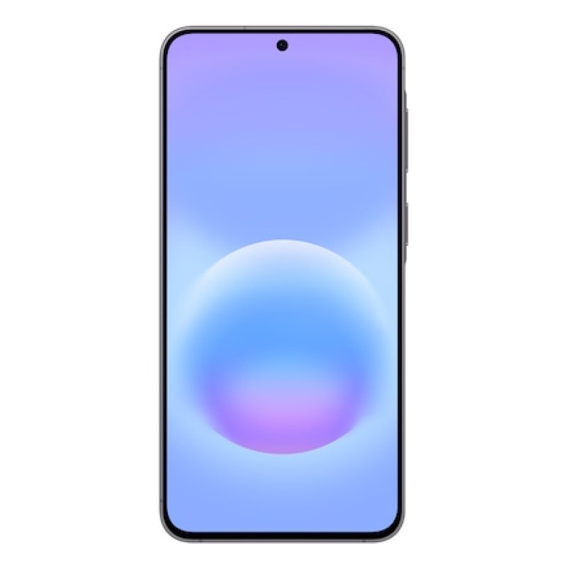 Samsung Galaxy A57 5G 17 cm (6.7") Double SIM USB Type-C 8 Go 256 Go 5000 mAh Gris