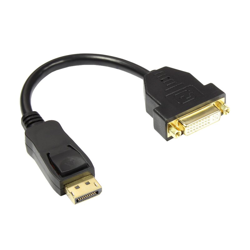 Alcasa DP-AD06 câble vidéo et adaptateur 0,2 m DVI-I DisplayPort Noir