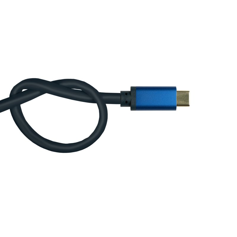 Alcasa 4812-CSF020B câble vidéo et adaptateur 2 m USB Type-C DisplayPort Bleu