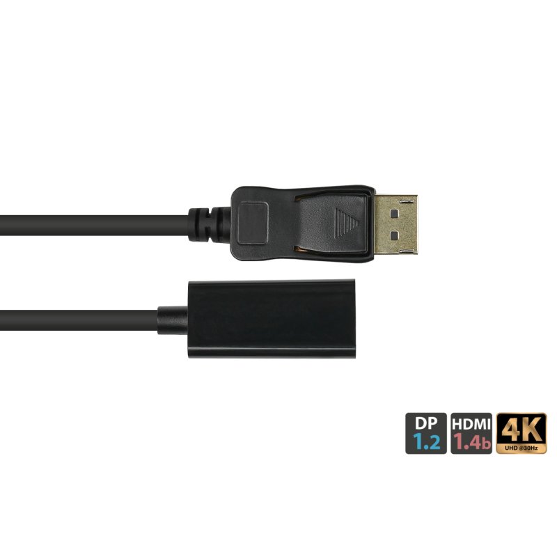Alcasa DP-AD08 câble vidéo et adaptateur 0,2 m DisplayPort HDMI Noir