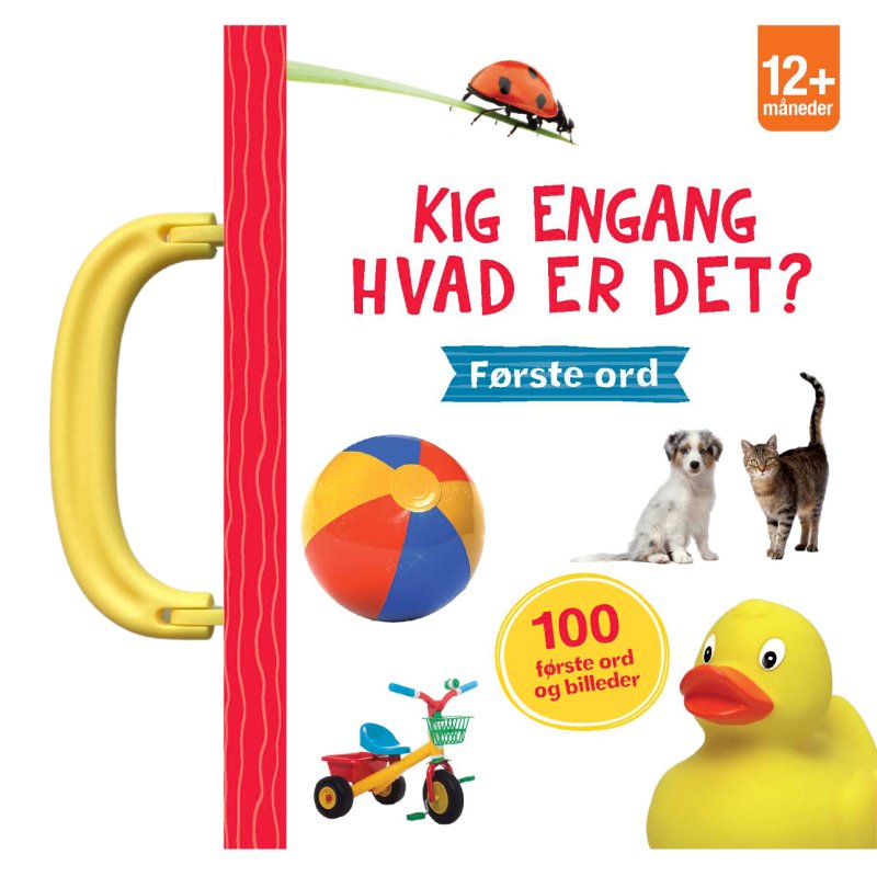 Kig engang - Hvad er det? Første ord