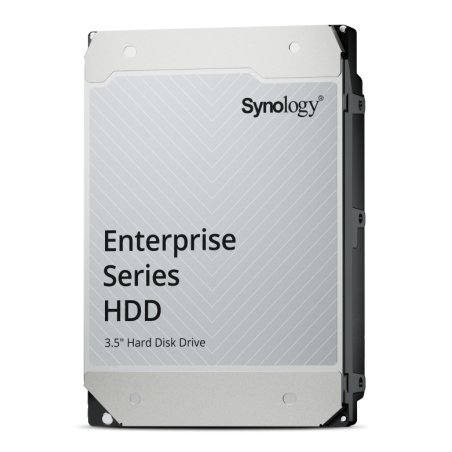 Synology HAS5320-24T disque dur 24 To 7200 tr/min 1000 Mo 3.5" SAS3