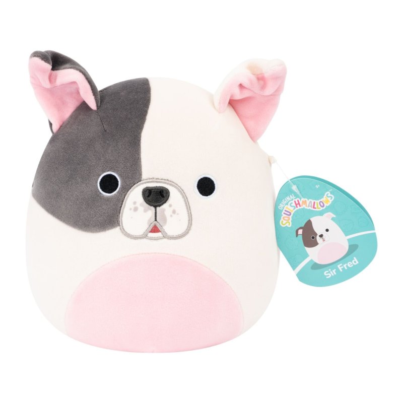 Squishmallows 19 cm P27 - Sir Fred Pitbull