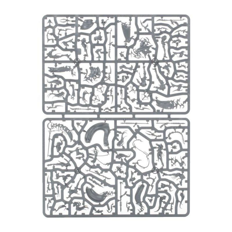 Warhammer AoS - Spearhead Daughters of Khaine Coterie de L'Ombre Khainite