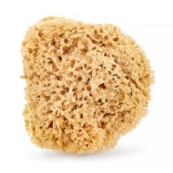 Natural Sea Sponge 175cm Brown