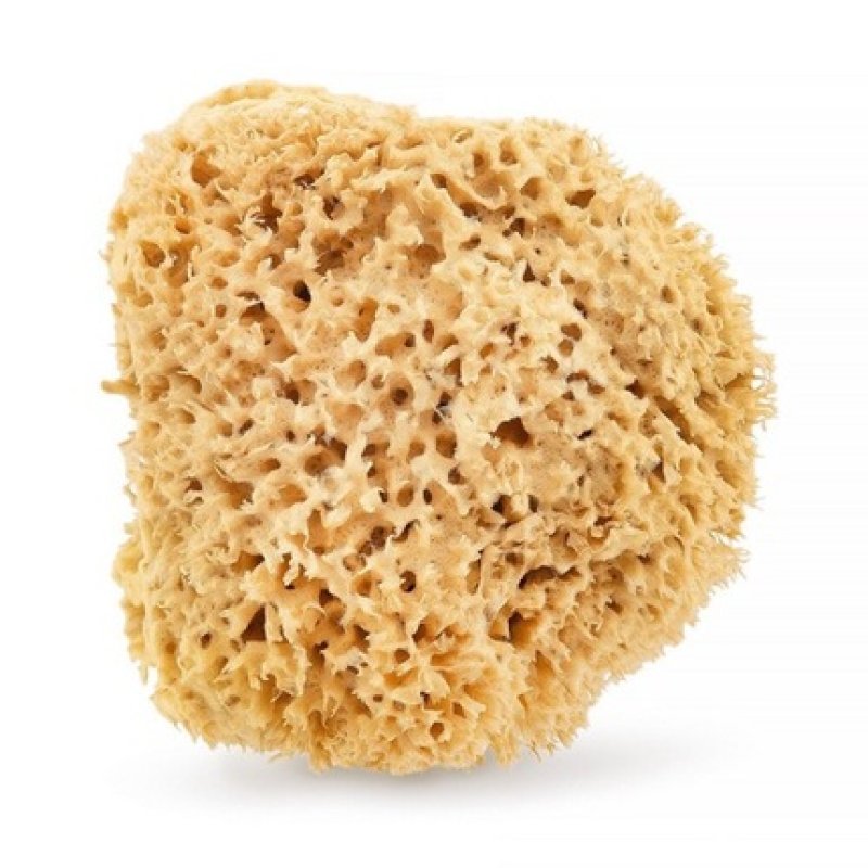 Natural Sea Sponge 175cm Brown