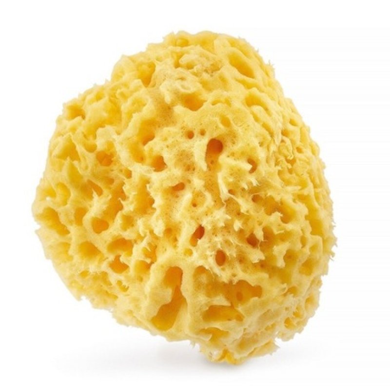 Natural Sea Sponge 125cm Yellow
