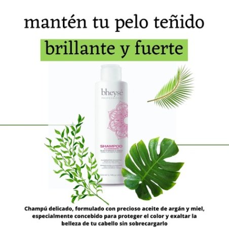 Highlighter Shampoo for Colored and Treated Hair Bheysè Professional Argan Oil and Honey 200ml