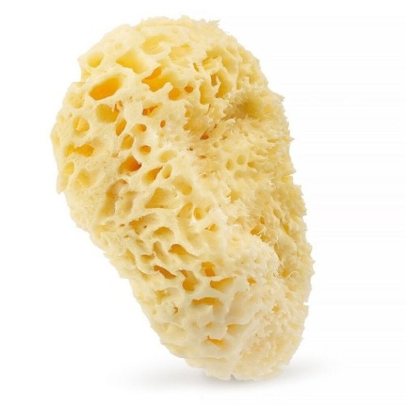 Natural Sea Sponge 175cm Yellow