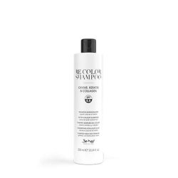 Be Hair After Color Shampoo 300ml