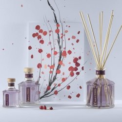 Erbario Toscano Home Fragrance Reed Oil Diffuser 250ml Bacche Di Tuscia