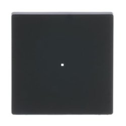 BUSCH JAEGER BJ 6230-10-885 Wippe 1f schwarz matt Busch-free@home future linear