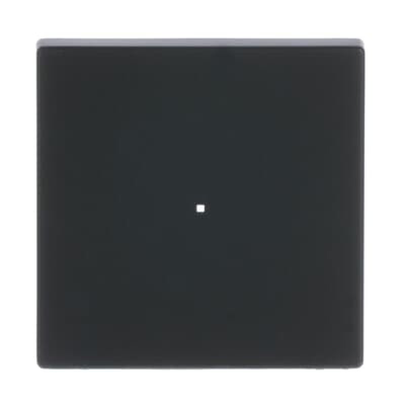 Busch-Jaeger 6230-10-885 Noir