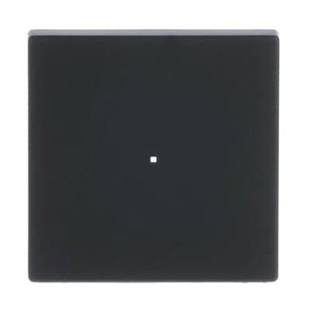 BUSCH JAEGER BJ 6230-10-885 Wippe 1f schwarz matt Busch-free@home future linear