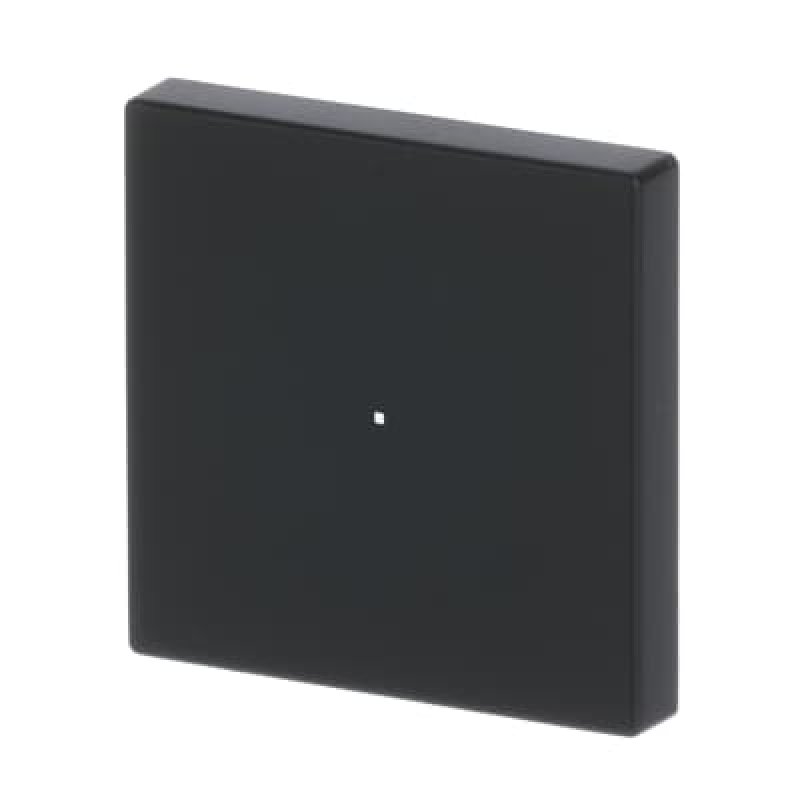 BUSCH JAEGER BJ 6230-10-885 Wippe 1f schwarz matt Busch-free@home future linear