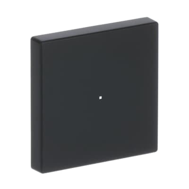 Busch-Jaeger 6230-10-885 Black