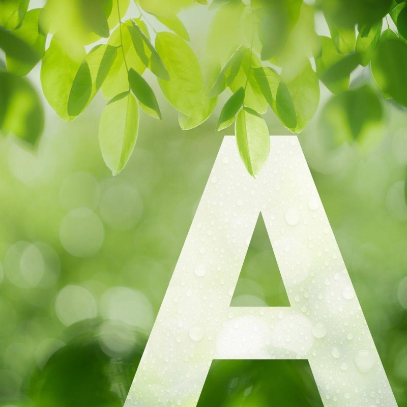 Gorenje GO66E PIZZA350C 77 L 3500 W Noir