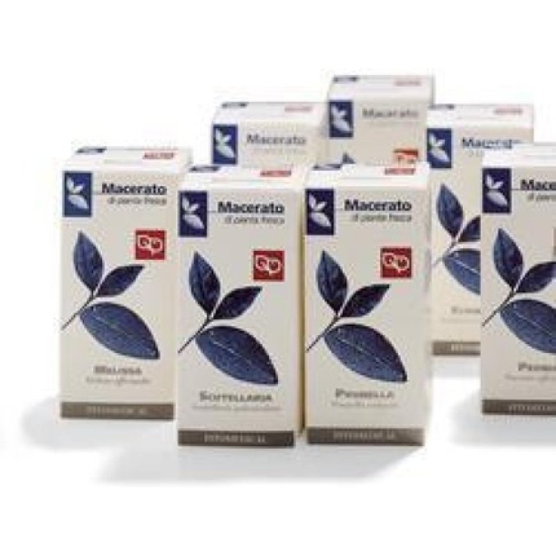 Echinacea 50 Tablets 200ml