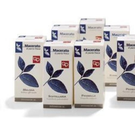 Echinacea 50 Tablets 200ml