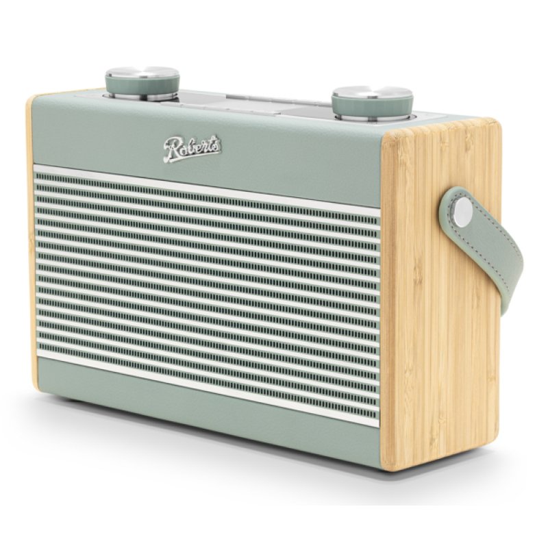 Roberts Radio Rambler Max Portable Analogique et numérique Vert
